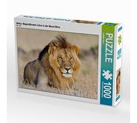 CALVENDO Puzzle Afrique : Lion majestueux dans Le Masai Mara 1000 Pieces 64 x 48 cm from Angelika Stern