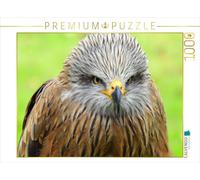 CALVENDO Puzzle Aigle 1000 Pieces 64 x 48 cm from Dagmar Kolatschke