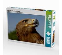 CALVENDO Puzzle Aigle Royal (Aquila chrysaetos) 1000 Pieces 64 x 48 cm from Axel Hilger