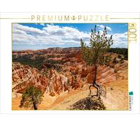 CALVENDO Puzzle Air Tree, USA, Bryce Canyon | 1000 pieces, finished size 25.2 ×
