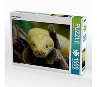 CALVENDO Puzzle Albino Python 1000 Teile Puzzle quer 1000 Pieces 64 x 48 cm from Kattobello