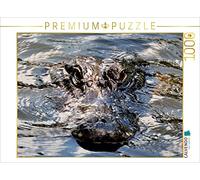 CALVENDO Puzzle Alligator 1000 Pieces 64 x 48 cm from uwela