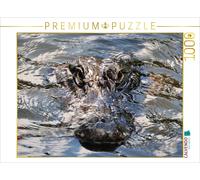CALVENDO Puzzle Alligator | 1000 Teile Lege-Größe 64x48cm Foto-Puzzle für glückl