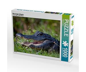 CALVENDO Puzzle Alligator du Mississippi 1000 Pieces 64 x 48 cm from Stefan Schütter