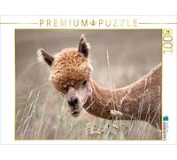 CALVENDO Puzzle Alpaga 1000 Pieces 64 x 48 cm from Daniela Bertschi