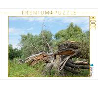 CALVENDO Puzzle Alte Weide vom Sturm zerbrochen 1000 Teile Puzzle quer | 1000 pi