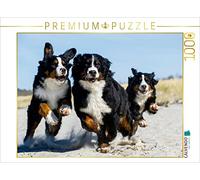 CALVENDO Puzzle Ami fidèle Bouvier Bernois 1000 Pieces 64 x 48 cm from Sista-Tierfoto