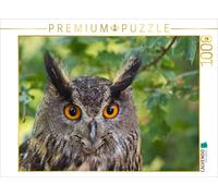 CALVENDO Puzzle Un Hibou Grand-duc dans Son Environnement Naturel 1000 Pieces 64 x 48 cm from Hans Pfleger