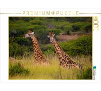 CALVENDO Puzzle An Encounter at Ihtala Game Reserve, South Africa | 1000 pieces,