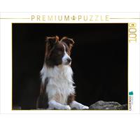 CALVENDO Puzzle An image from the 2017 Border Collie calendar | 1000 pieces, fin