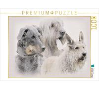 CALVENDO Puzzle Chiens de Berger français 2017 1000 Pieces 64 x 48 cm from Andrea Redecker