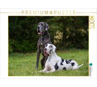 CALVENDO Puzzle An image from the 2017 Great Dane calendar | 1000 pieces, finish