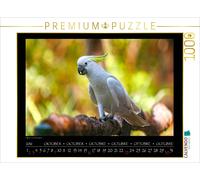 CALVENDO Puzzle An image from the "Aves Australis" calendar-Birds of Australia |