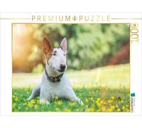 CALVENDO Puzzle An image from the Bull Terrier calendar | 1000 pieces, finished