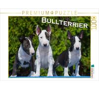 CALVENDO Puzzle Bull Terrier 1000 Pieces 64 x 48 cm from Sista-Tierfoto