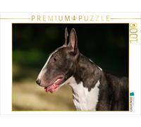 CALVENDO Puzzle An image from the Bull Terrier calendar | 1000 pieces, finished