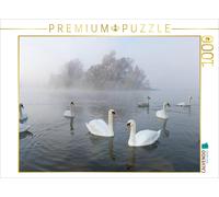 CALVENDO Puzzle Une année avec Les cygnes 1000 Pieces 64 x 48 cm from Roland T. Frank