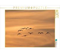 CALVENDO Puzzle Les grues en Route vers Le sud 1000 Pieces 64 x 48 cm from N. Wilhelm