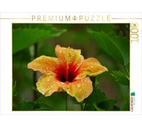 CALVENDO Puzzle An image from the calendar "Delicate Beauties - Exquisite Hibisc