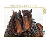 CALVENDO Puzzle An image from the calendar: Draft horses at work in the fields |