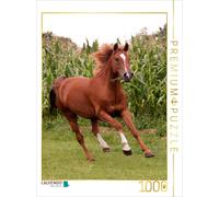 CALVENDO Puzzle An image from the calendar Horses... Flying Without Wings | 10