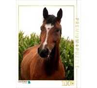 CALVENDO Puzzle Les Chevaux... Voler sans Ailes 1000 Pieces 48 x 64 cm from K. Grüttner