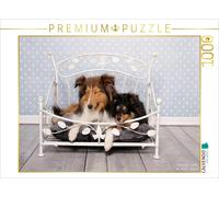 CALVENDO Puzzle Shelties : des charmeurs sur 4 Pattes 1000 Pieces 64 x 48 cm from Marion Reiß - Seibert