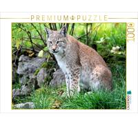 CALVENDO Puzzle Le Lynx - Le Chasseur aux Pattes silencieuses 1000 Pieces 64 x 48 cm from Arno Klatt