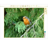 CALVENDO Puzzle An image from the calendar: The robin sings us a song | 1000 pie