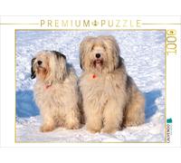 CALVENDO Puzzle Terrier du Tibet - Une Race de Chien de caractère 1000 Pieces 64 x 48 cm from Rudolf Bindig