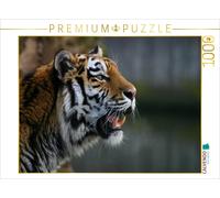 CALVENDO Puzzle Les Tigres - Les Chasseurs Silencieux de la Jungle 1000 Pieces 64 x 48 cm from Elke Krone