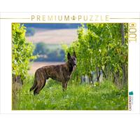 CALVENDO Puzzle An image from the Dutch Shepherd Dog calendar | 1000 pieces, fin