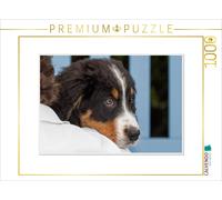 CALVENDO Puzzle des Moments d'émotion : Bouvier Bernois. / Version CH 1000 Pieces 64 x 48 cm from Ingo Gerlach