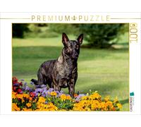 CALVENDO Puzzle An image from the "Expressive Dutch Shepherd Dogs" calendar | 10