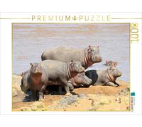 CALVENDO Puzzle An image from the "Fascination Africa" calendar: hippos | 1000 p