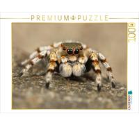 Puzzle CALVENDO Une illustration tirée du calendrier « La fascination des araign