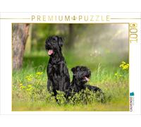 CALVENDO Puzzle An image from the "Giant Schnauzer - Heart on Four Paws" calenda