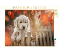 CALVENDO Puzzle Golden Retriever - Sweet Puppy par Martina Wrede 1000 Pieces 64 x 48 cm from Martina Wrede