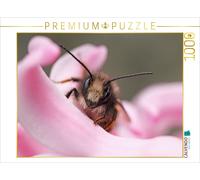 CALVENDO Puzzle An image from the "Insects: Little Wonders" calendar | 1000 piec