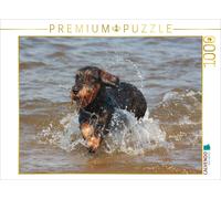 CALVENDO Puzzle An image from the "Lovable Rascals: Wire-haired Dachshunds" cale