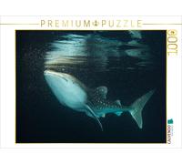 Puzzle CALVENDO Une image tirée du calendrier « Les Maldives : un monde sous-mar