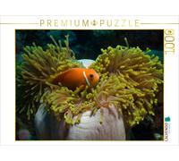 Puzzle CALVENDO Une illustration tirée du calendrier « Les Maldives : un monde s