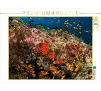 CALVENDO Puzzle Maldives - Le Monde sous-Marin coloré 1000 Pieces 64 x 48 cm from Martin Kraus