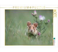CALVENDO Puzzle An image from the "Moments in Nature" calendar | 1000 pieces, fi