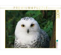 CALVENDO Puzzle An image from the "Owls and Barn Owls" calendar | 1000 pieces, f