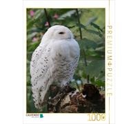 Puzzle CALVENDO Une illustration tirée du calendrier « Hiboux et chouettes » | 1