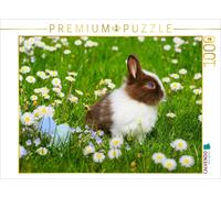 CALVENDO Puzzle An image from the "Rabbit" calendar. Cute, fluffy, and beloved |
