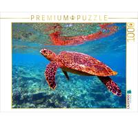 CALVENDO Puzzle Tortues de mer - Créatures fascinantes des océans 1000 Pieces 64 x 48 cm from Andrea Hess