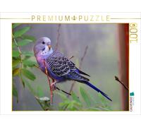 CALVENDO Puzzle An image from the "Wellis - My Budgie Friend" calendar | 1000 pi