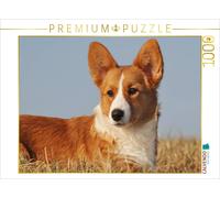 CALVENDO Puzzle An image from the "Welsh Corgi - A Four-Legged Imp" calendar | 1